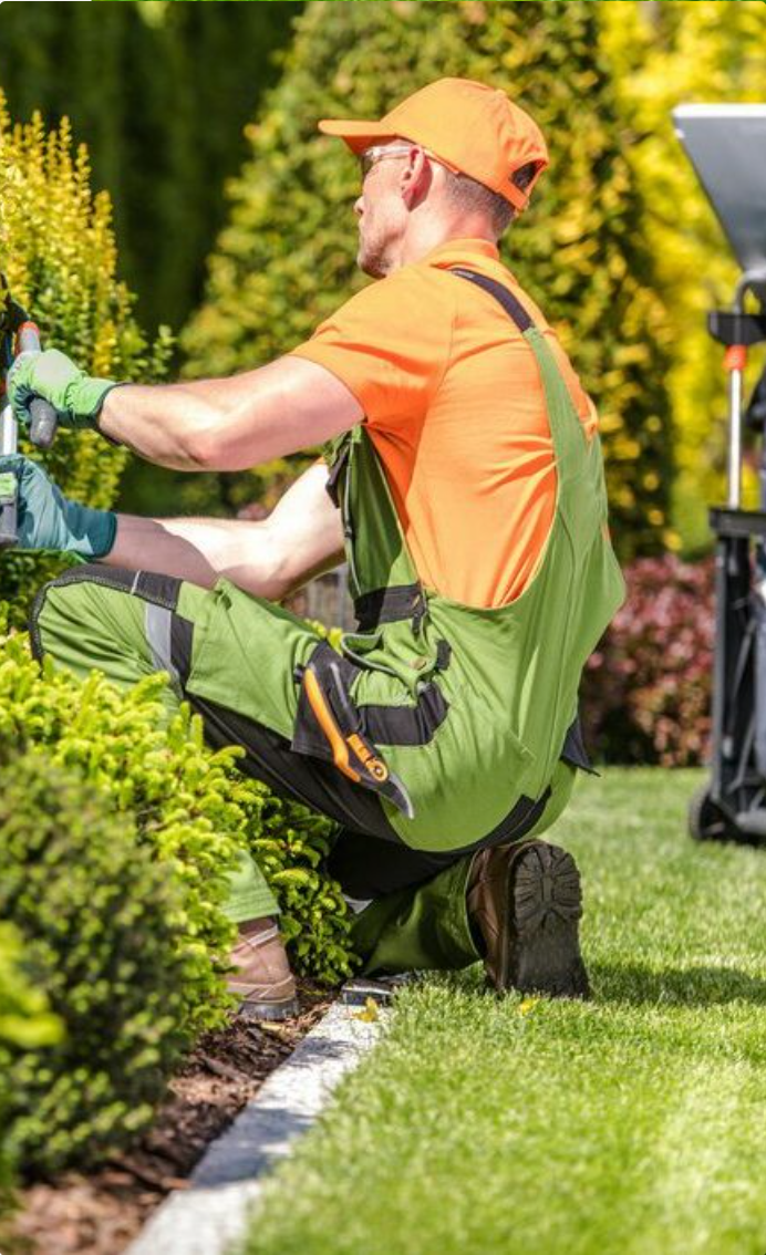 Cypress Landscaping team member pruning a garden hedge