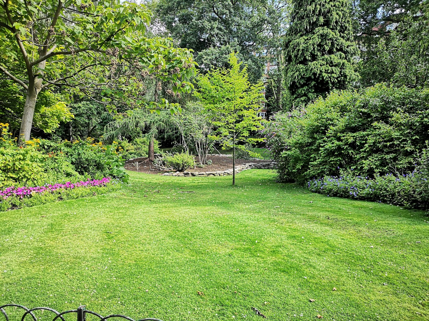 A healthy green backyard lawn