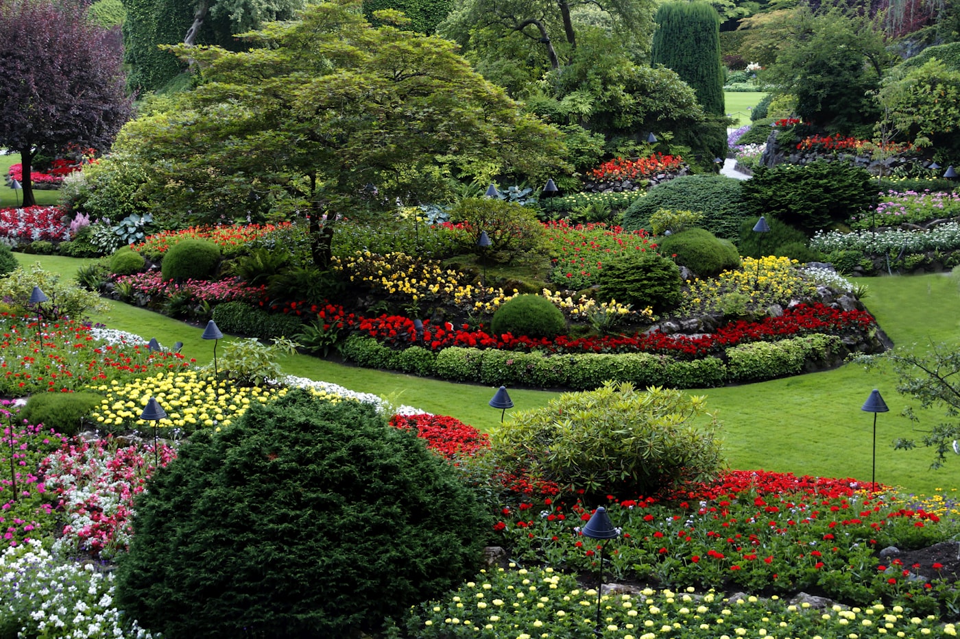 Colourful landscaped flower beds