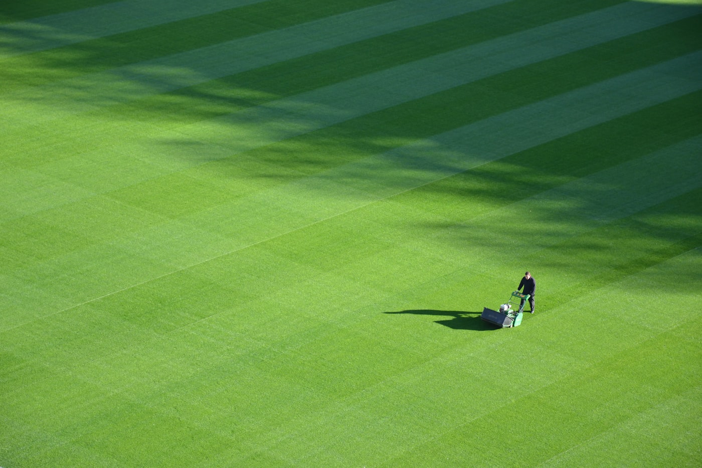 A freshly striped, professionally mowed lawn
